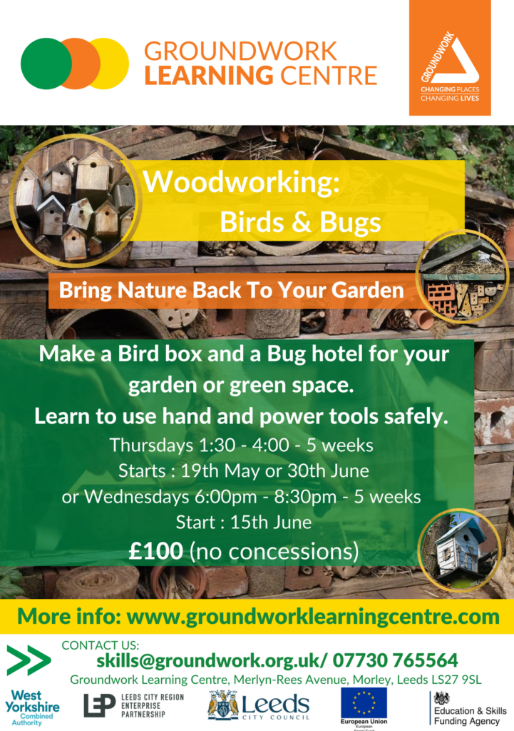 Woodworking: Birds & Bugs 1