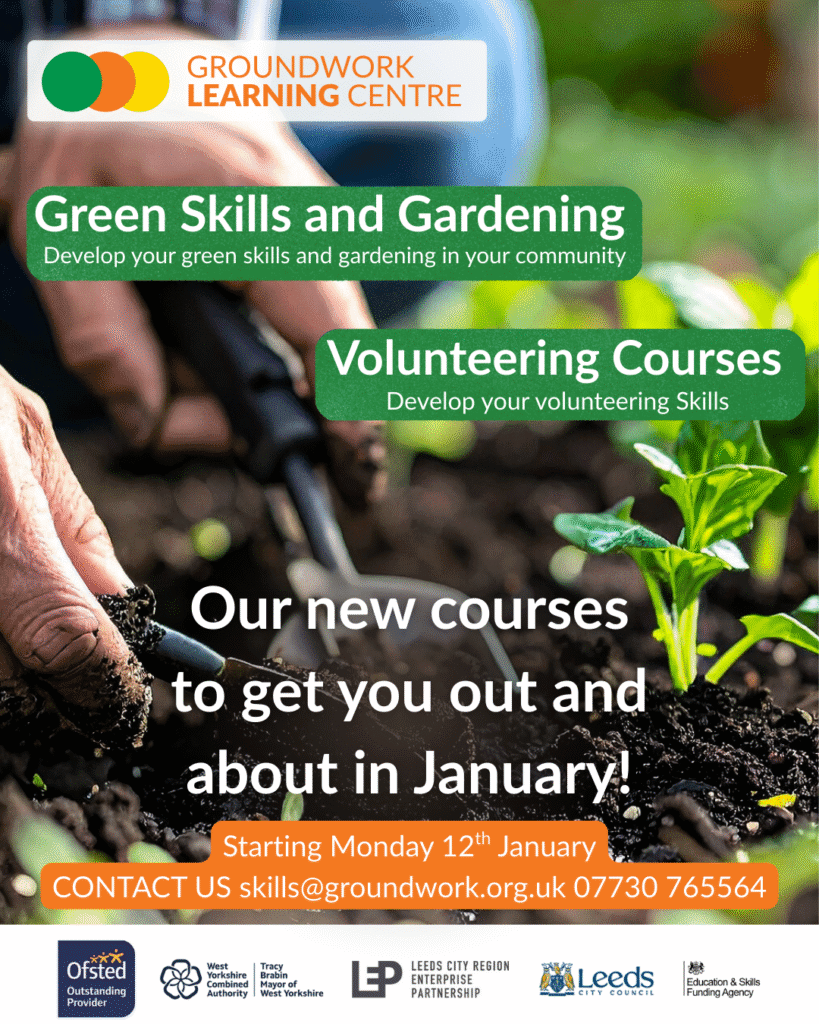 Spring Term Courses 1